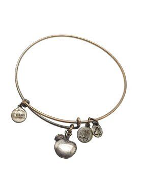 Alex And Ani Energy Apple Charm Bangle Bracelet Dual-Tone Adjustable Made In USA